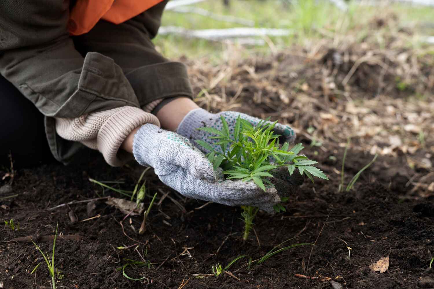 Best Tree Care Services  in Peachtree Corners, GA